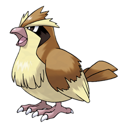 Pidgey artwork