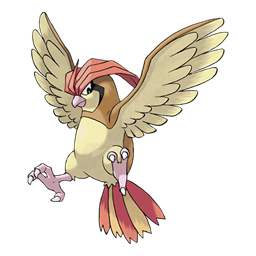 Pidgeotto artwork