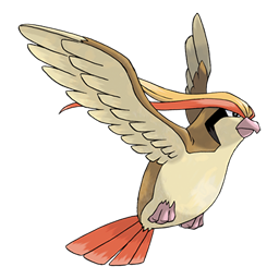 Pidgeot artwork