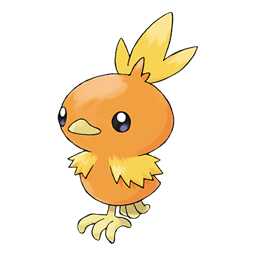 Torchic artwork