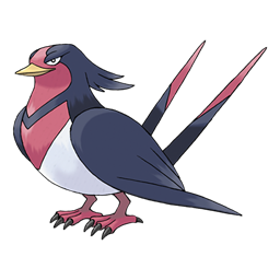 Swellow artwork