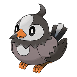 Starly artwork